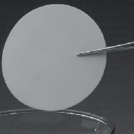 ����鿴ͼƬʵ�ʳߴ��С